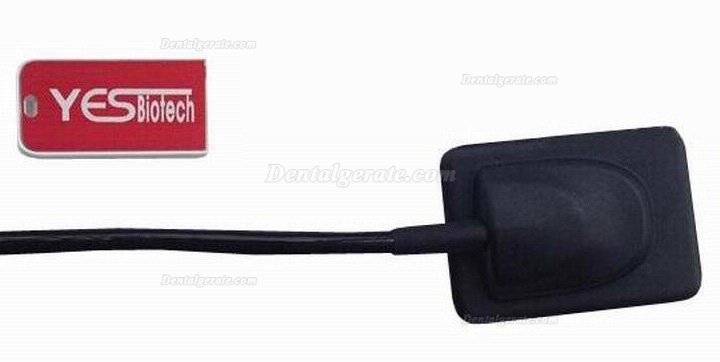 Yesbiotech&reg; Intraorales drahtloses R&ouml;ntgensensor Bildgebungssystem (Imaging-System) Dentaler Digitaler USB